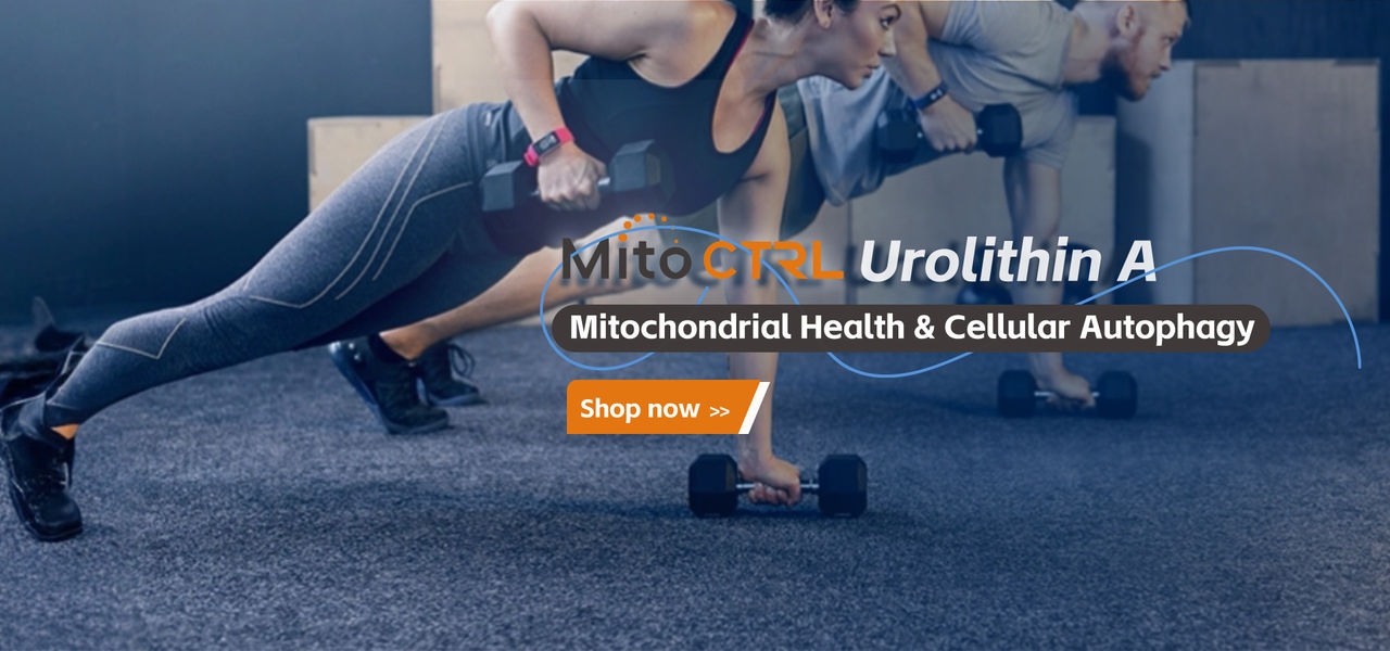 Ingrédients de l'autophagie