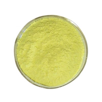 99% Purity Quercetin Bulk Supplements From Sophora Japonica Extract For Natural Ingredients
