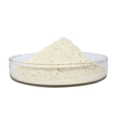 20000FU/G Nattokinase Powder Extracted From Bacillus Fermented Soybeans CAS 133876-92-3
