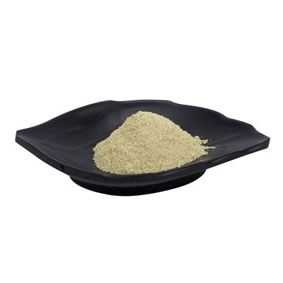High Potency Apigenin Powder 99% Celery Seed Extract For Anti Aging CAS 520-36-5