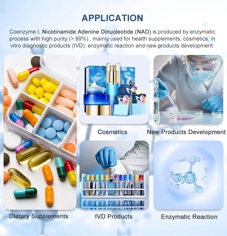 CAS 53-84-9 NAD Nicotinamide Adenine Dinucleotide Powder For Anti Aging