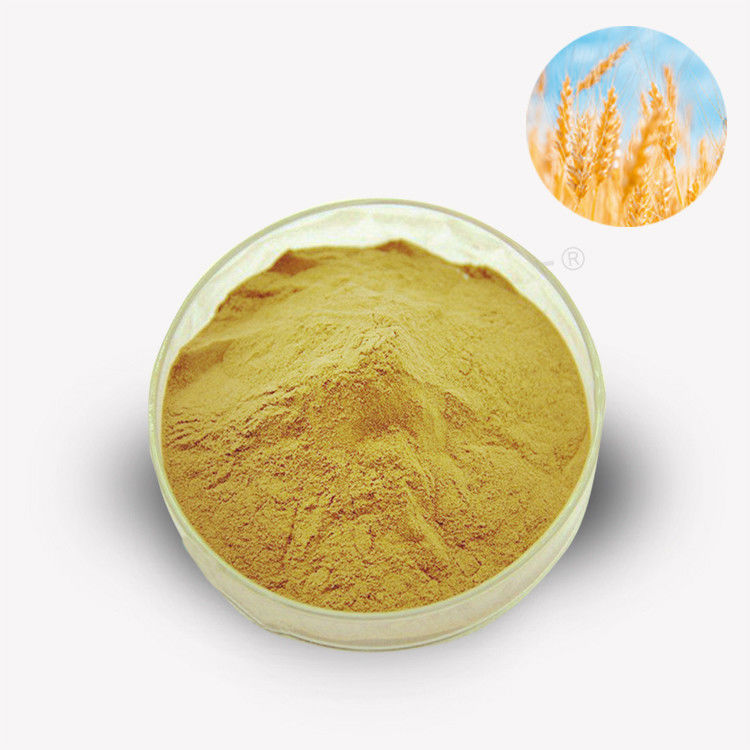 Wheat Germ Extract Spermidine Supplement 0.5% Autophagy Spermidine Cas No 334-50-9