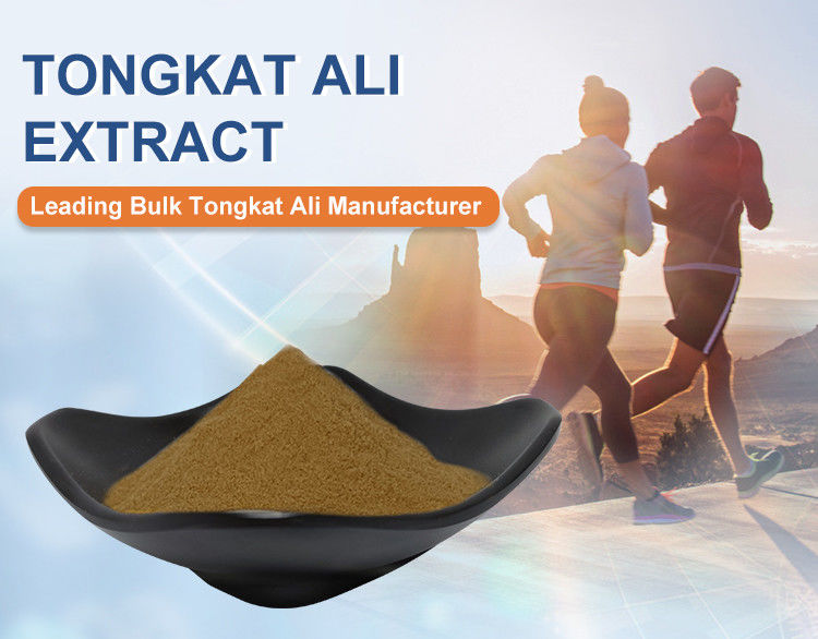 Food Grade Tongkat Ali Extract Brown Yellow Maca Plant Extract Powder