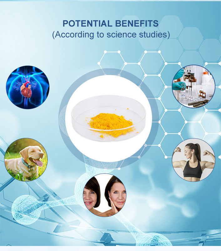 CAS 303-98-0 Coenzyme Q10 Bulk Powder Pure 98% For Dietary Supplement