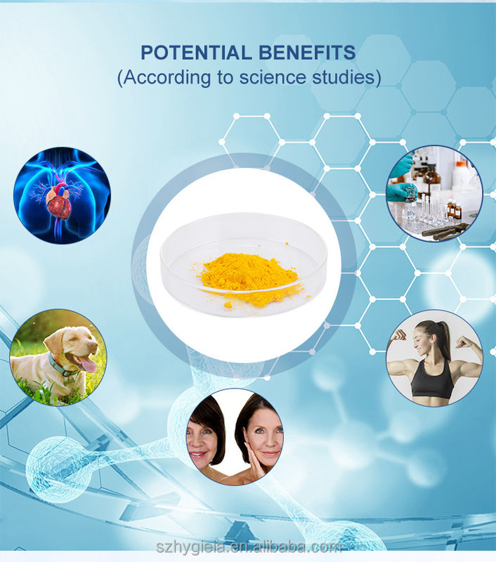 98% Purity Coenzyme Q10 Supplement 303-98-0 Customizable Coenzyme PQQ