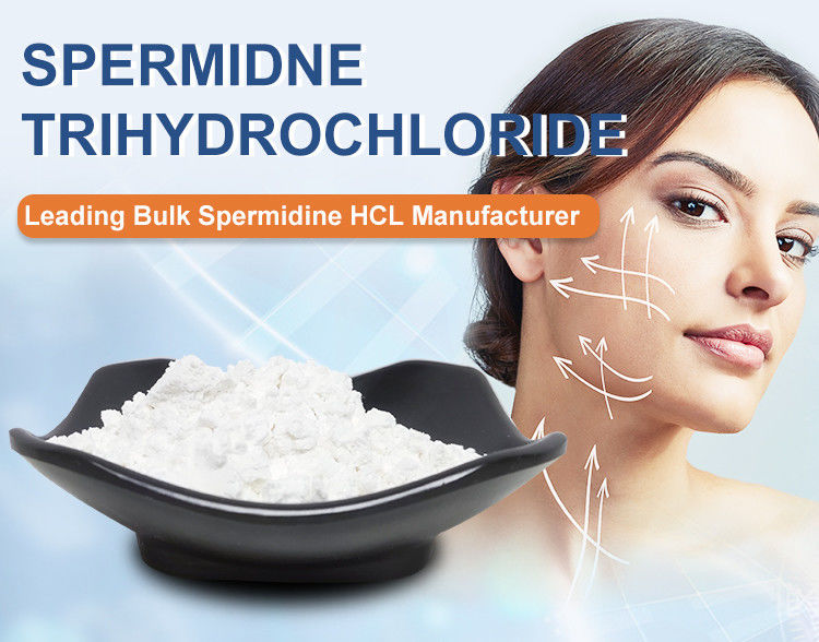98% Purity Cas 334-50-9 Spermidine Trihydrochloride With Spermidine Riched Wheatgerm Extract
