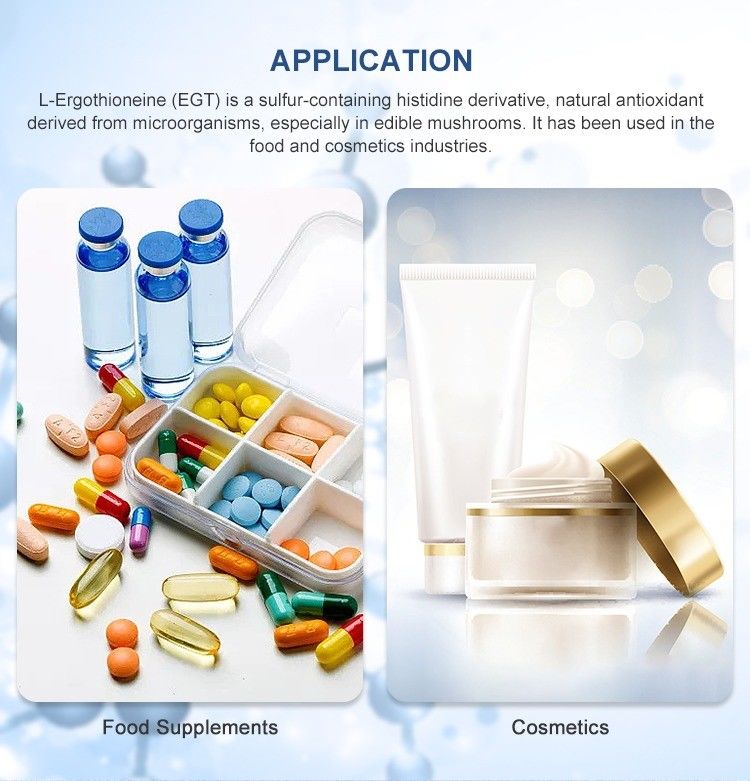 99% Pure L-EGT L Ergothioneine Powder From Raw Material Fermentation
