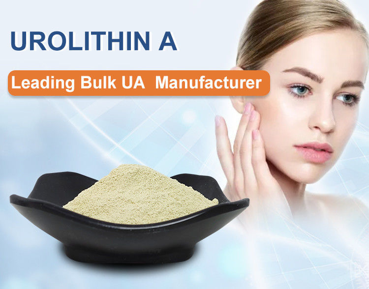 98% Purity Urolithin A Bulk Powder For Muscle Repair Not From Pomegranate Extraction