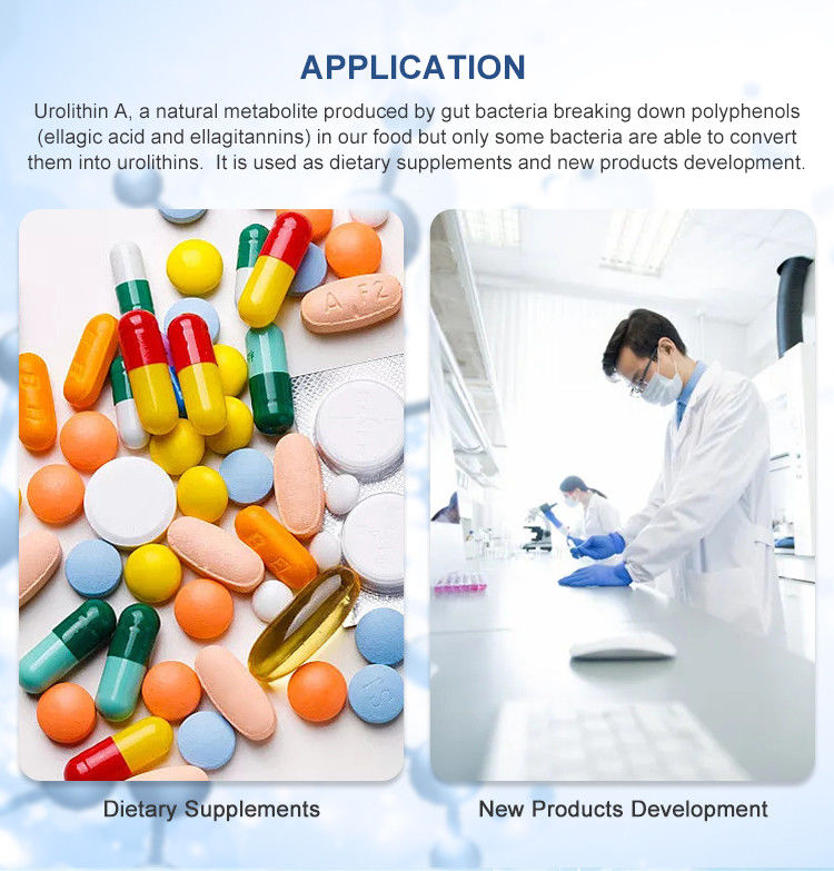 98% Purity Urolithin A Bulk Powder For Muscle Repair Not From Pomegranate Extraction