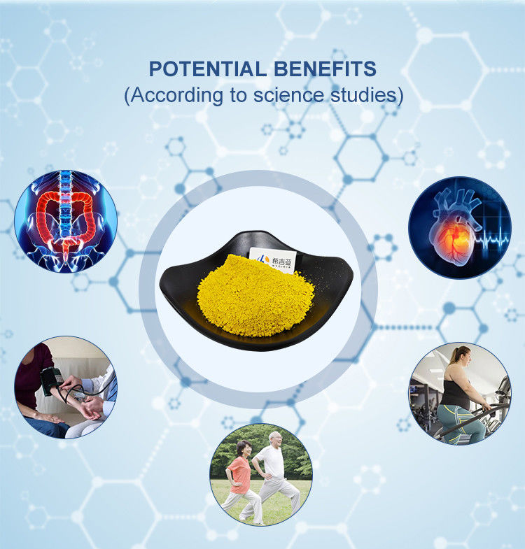 CAS 633-65-8 Coptis Chinensis Extract Berberine Hydrochloride Powder for Weight Loss
