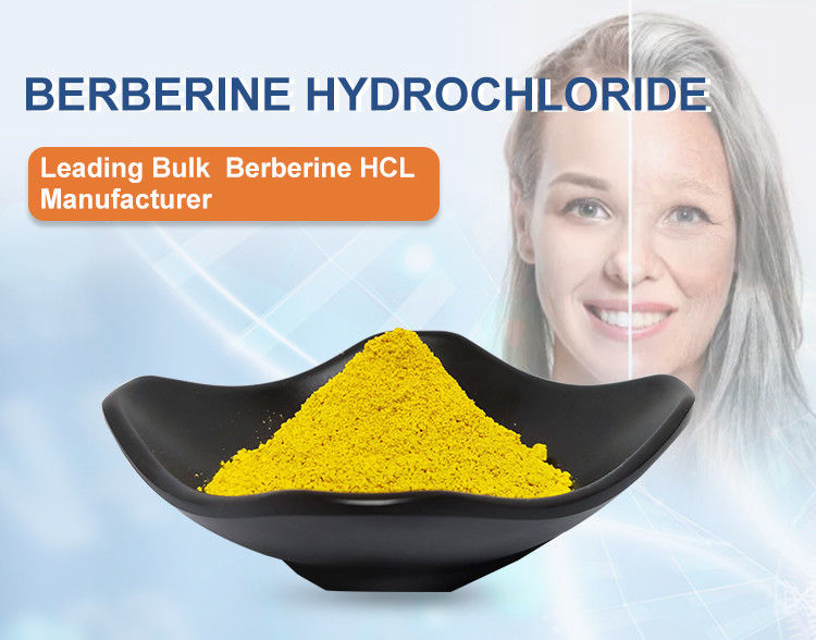 Liquid Solid Extraction Berberine Hydrochloride Powder from Natural Berberis Aristata Root