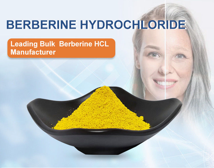 MF C20H18N04 Berberine HCL 97% Purity CAS 633-65-8 For Blood Sugar Management
