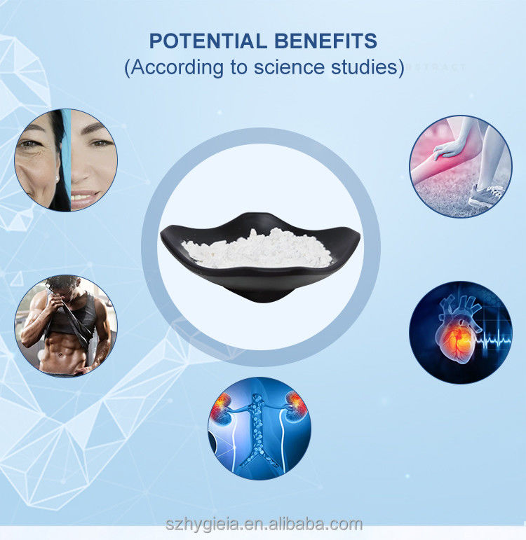 98% Purity Alpha-Ketoglutarate CAS 71686-01-6 Energy Ingredients CA-AKG
