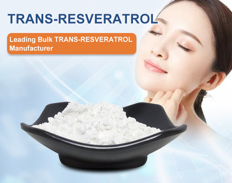 Natural Organic Trans Resveratrol Supplement Powder 99% For Anti Aging Antioxidant CAS 501-36-0
