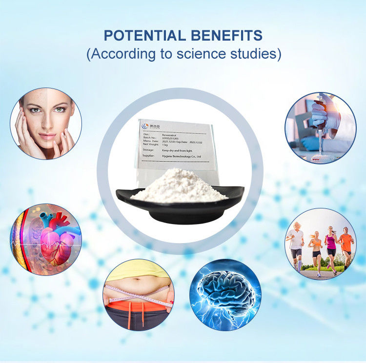 Natural Organic Trans Resveratrol Supplement Powder 99% For Anti Aging Antioxidant CAS 501-36-0