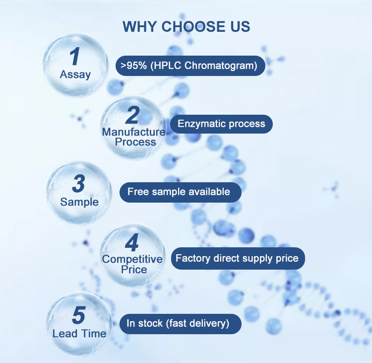 Coenzyme Triphosphate Adenosine 5 Triphosphate Disodium Salt 95% Purity CAS 987-65-5