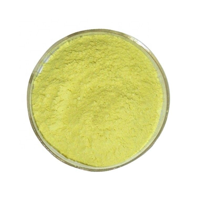 99% Purity Quercetin Bulk Supplements From Sophora Japonica Extract For Natural Ingredients