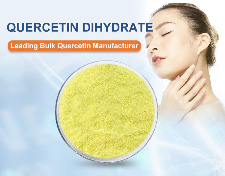 99% Purity Quercetin Bulk Supplements From Sophora Japonica Extract For Natural Ingredients