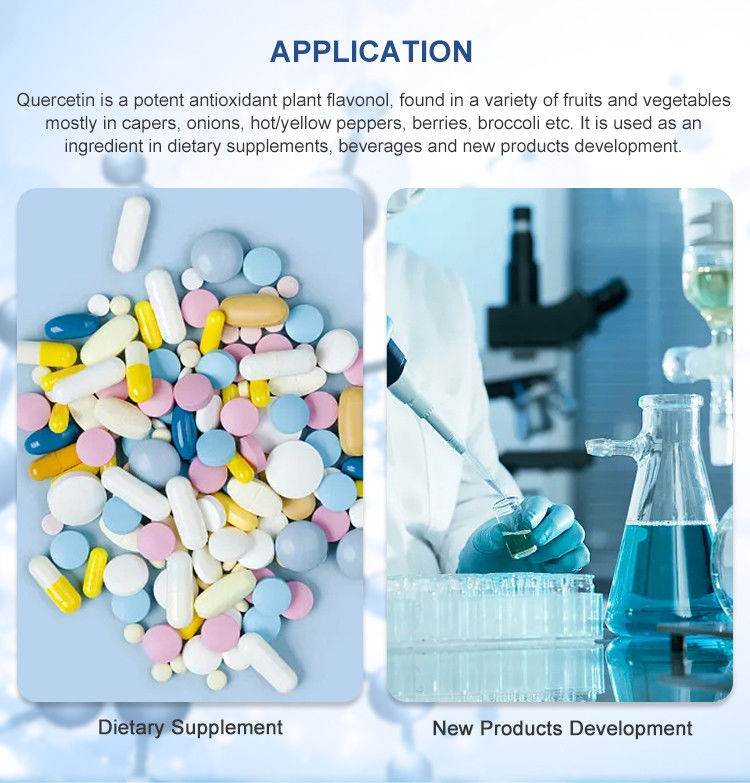 99% Purity Quercetin Bulk Supplements From Sophora Japonica Extract For Natural Ingredients