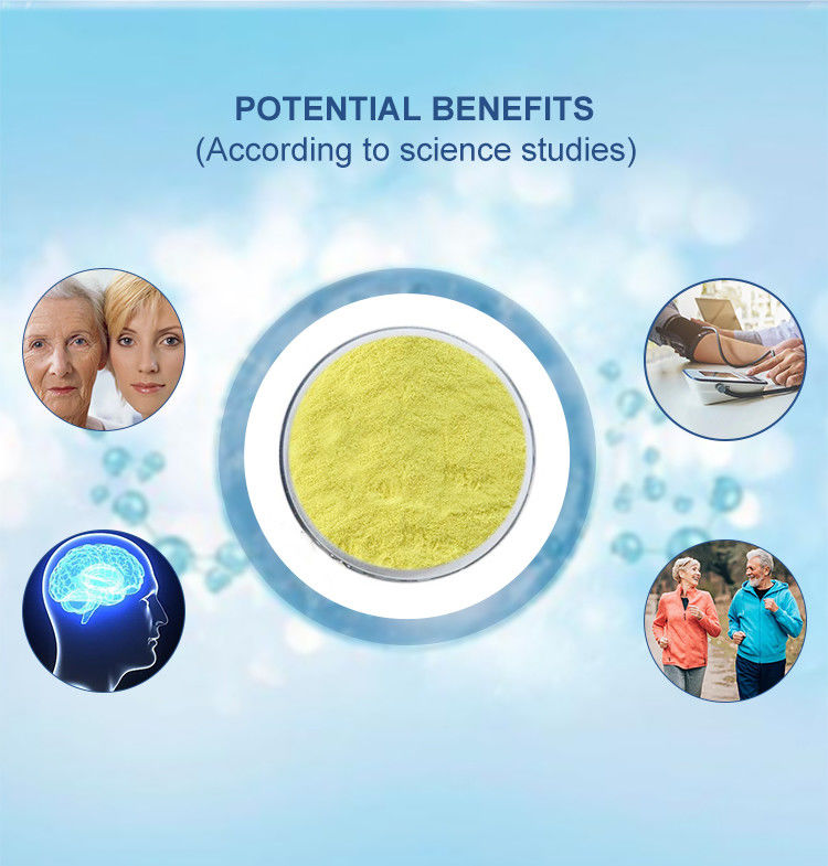 High Purity 99% Quercetin Dihydrate Powder Sophora Japonica Extract For Food Grade Capsules