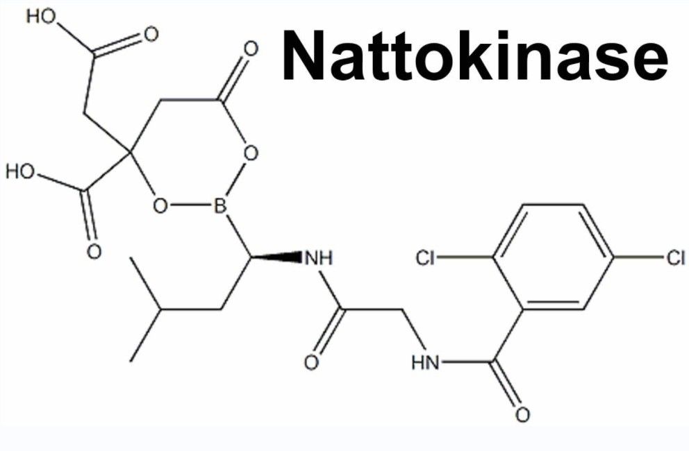 Nattokinase Supplement CAS 133876-92-3 From Fermented Bacillus Natto