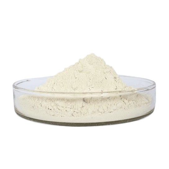 20000FU/G Nattokinase Powder Extracted From Bacillus Fermented Soybeans CAS 133876-92-3