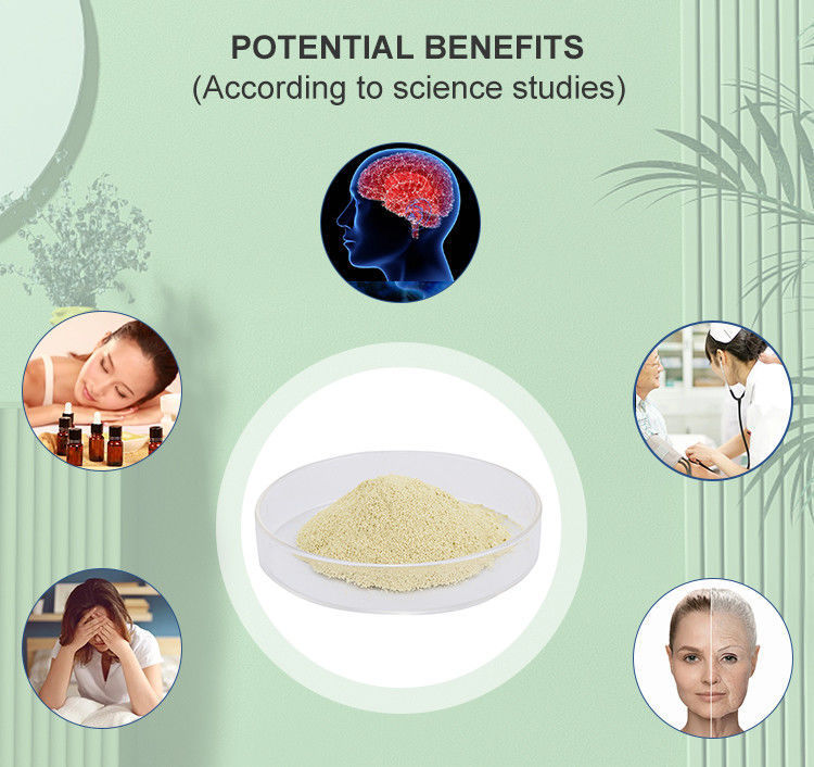 High Purity Apigenin Supplement 99% Plant Extract Powder CAS 520-36-5