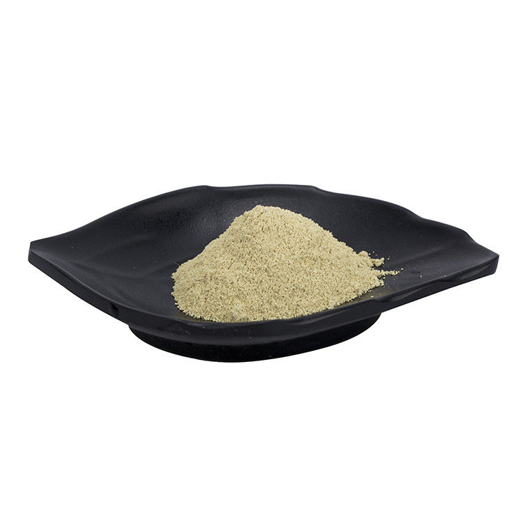 High Potency Apigenin Powder 99% Celery Seed Extract For Anti Aging CAS 520-36-5