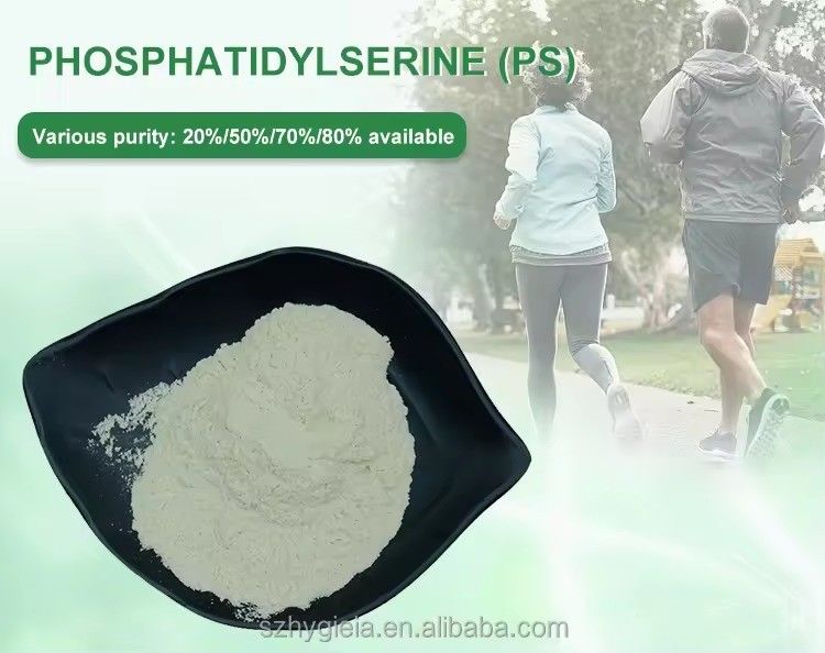 Cosmetic Grade Pure Natural Phosphatidylserine PS Supplement For Mental Focus And Clarity
