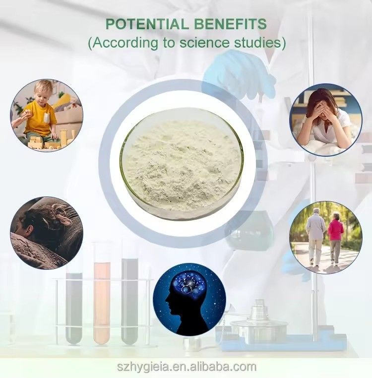 Cosmetic Grade Pure Natural Phosphatidylserine PS Supplement For Mental Focus And Clarity