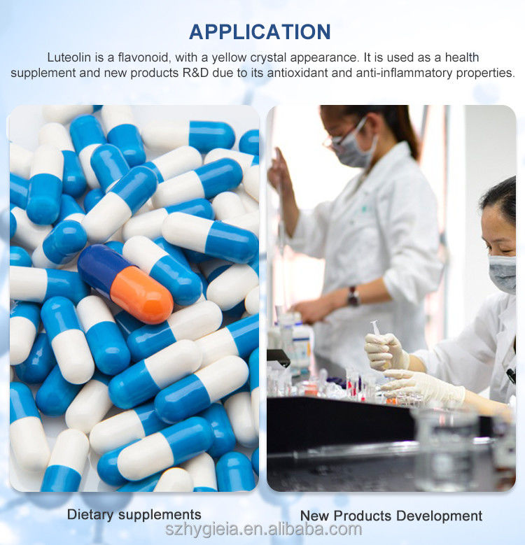 Solvent Extraction Luteolin Powder from Natural Sophora Japonica for Luteolin Tablets