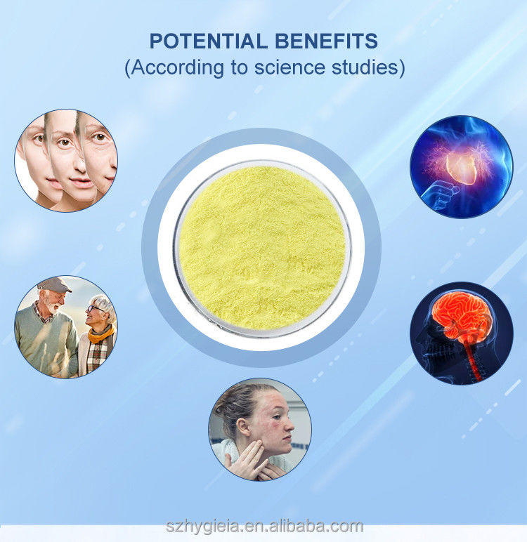 Solvent Extraction Luteolin Powder from Natural Sophora Japonica for Luteolin Tablets