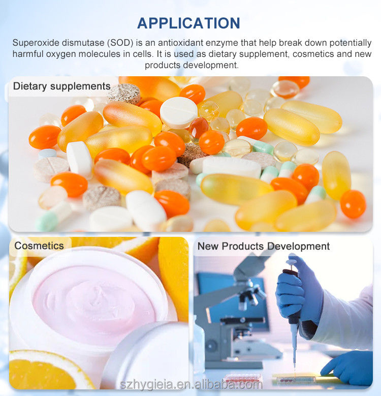 Versatile 99% Purity L Glutathione Reduced 70-18-8 Cosmetic Chemical Powder