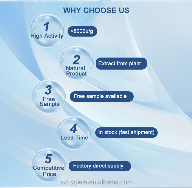 Boost Health With 98% S Acetyl L Glutathione VVV CAS 3054-47-5 Antioxidant
