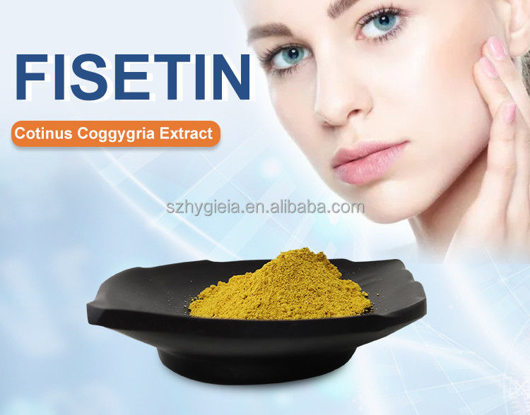 High-Purity Natural Fisetin Extract Powder 98% for Health Supplements & Research Quercetin Available