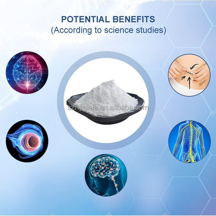 High-Purity Citicoline 98% Powder (CDP Choline) for Cognitive Support & Neuroprotection