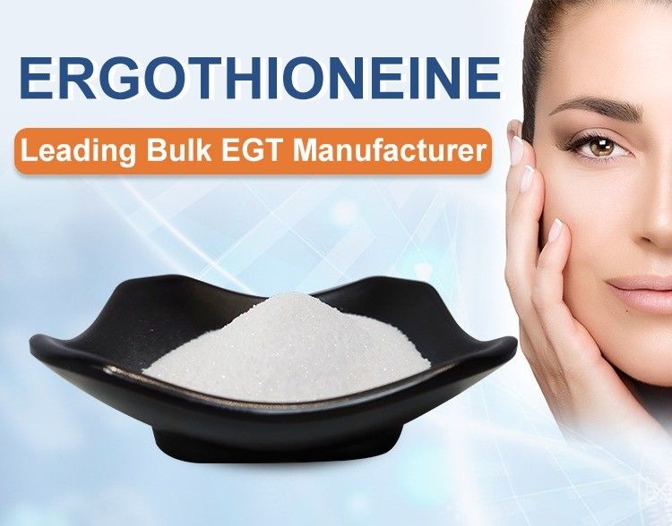High-Purity Ergothioneine 98% Powder for Antioxidant Support - Natural Mushroom Extract with Stable Formula
