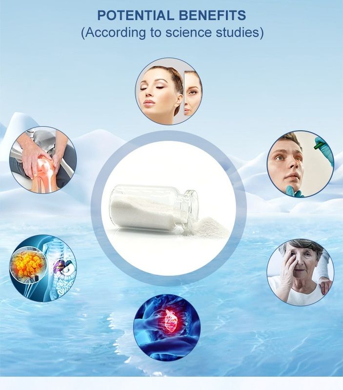 High-Purity Ergothioneine 98% Powder for Antioxidant Support - Natural Mushroom Extract with Stable Formula