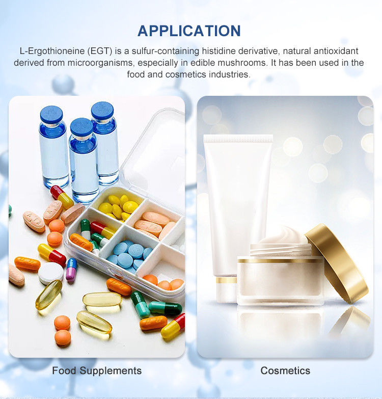 High-Purity Ergothioneine 98% Powder for Antioxidant Support - Natural Mushroom Extract with Stable Formula