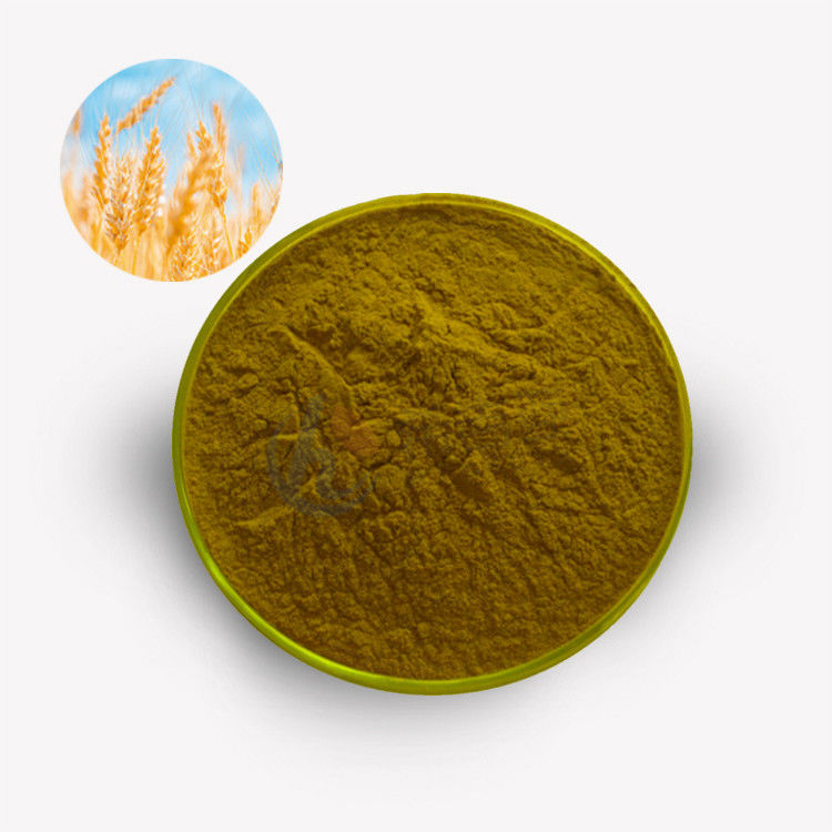 High-Purity Spermidine Trihydrochloride 98% Powder for Anti-Aging & Cell Health Supplements Wheat-germ Extract