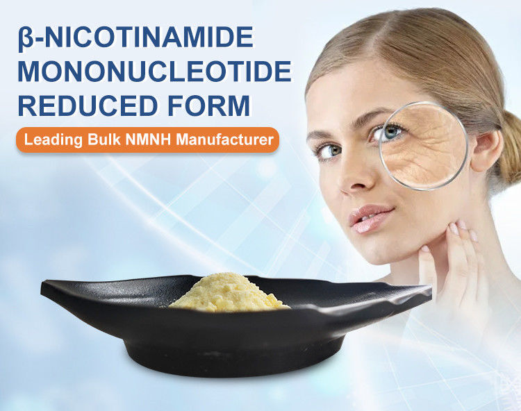 NMNH Purity up to 95% Nad Booster Nicotinamide Mononucleotide Reduced Powder for Health Supplements