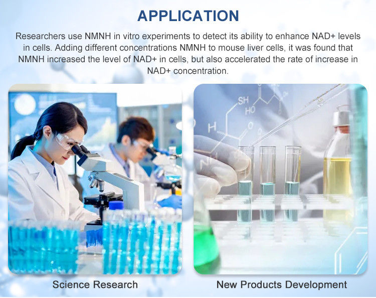 NMNH Purity up to 95% Nad Booster Nicotinamide Mononucleotide Reduced Powder for Health Supplements