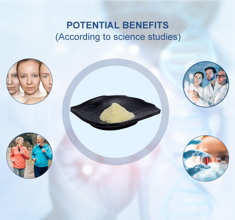 NMNH Purity up to 95% Nad Booster Nicotinamide Mononucleotide Reduced Powder for Health Supplements
